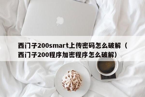 西门子200smart上传密码怎么破解（西门子200程序加密程序怎么破解）-第1张图片-晋江速捷自动化科技有限公司