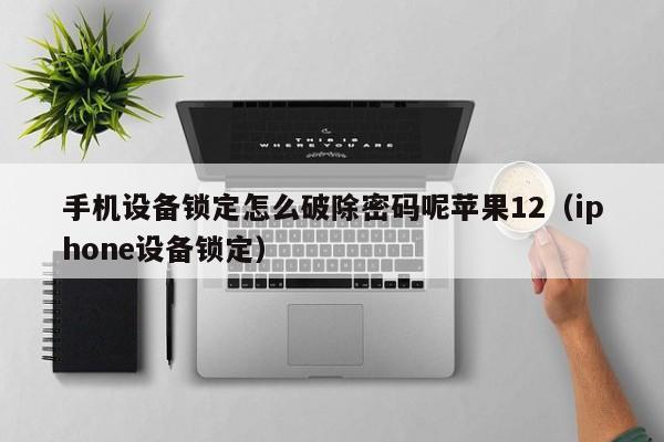 手机设备锁定怎么破除密码呢苹果12（iphone设备锁定）-第1张图片-晋江速捷自动化科技有限公司