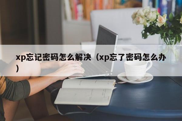 xp忘记密码怎么解决（xp忘了密码怎么办）-第1张图片-晋江速捷自动化科技有限公司