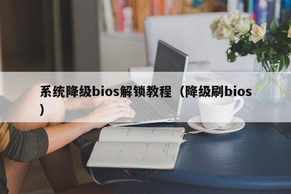 系统降级bios解锁教程（降级刷bios）-第1张图片-晋江速捷自动化科技有限公司