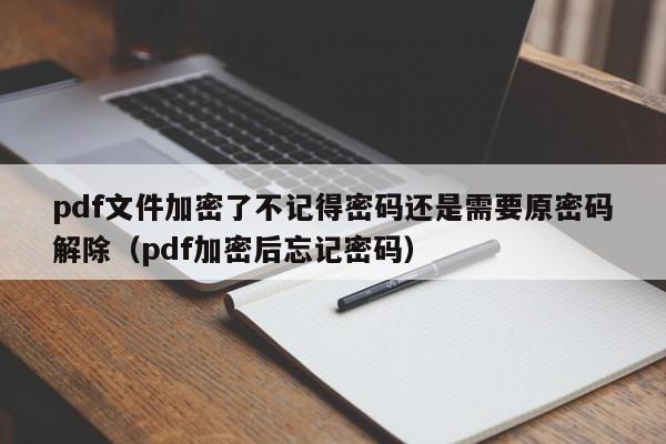 pdf文件加密了不记得密码还是需要原密码解除（pdf加密后忘记密码）-第1张图片-晋江速捷自动化科技有限公司