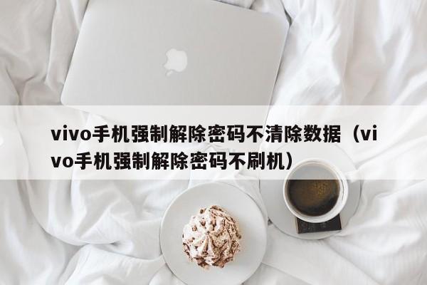 vivo手机强制解除密码不清除数据（vivo手机强制解除密码不刷机）-第1张图片-晋江速捷自动化科技有限公司