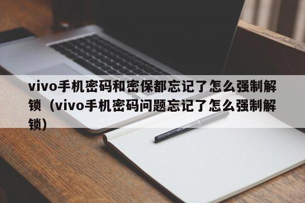 vivo手机密码和密保都忘记了怎么强制解锁（vivo手机密码问题忘记了怎么强制解锁）-第1张图片-晋江速捷自动化科技有限公司