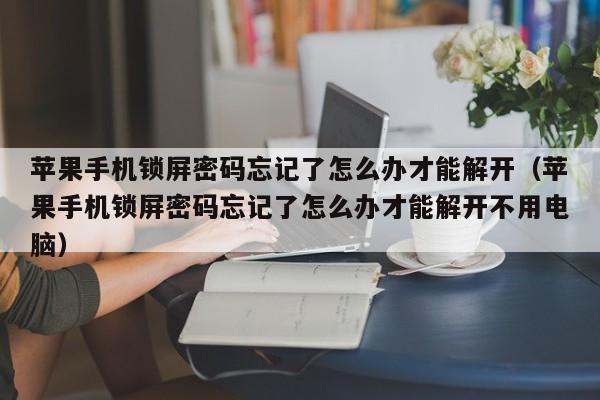 苹果手机锁屏密码忘记了怎么办才能解开（苹果手机锁屏密码忘记了怎么办才能解开不用电脑）-第1张图片-晋江速捷自动化科技有限公司