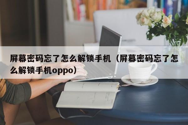 屏幕密码忘了怎么解锁手机（屏幕密码忘了怎么解锁手机oppo）-第1张图片-晋江速捷自动化科技有限公司