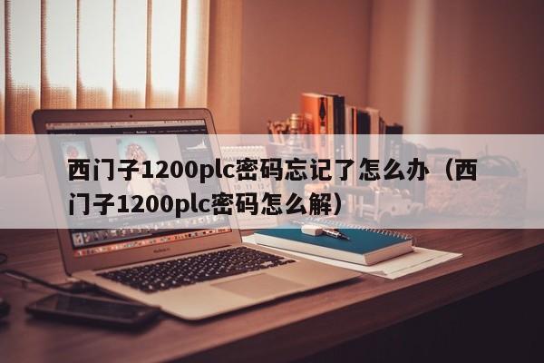 西门子1200plc密码忘记了怎么办（西门子1200plc密码怎么解）-第1张图片-晋江速捷自动化科技有限公司