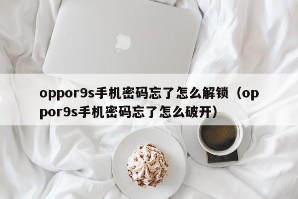 oppor9s手机密码忘了怎么解锁（oppor9s手机密码忘了怎么破开）-第1张图片-晋江速捷自动化科技有限公司