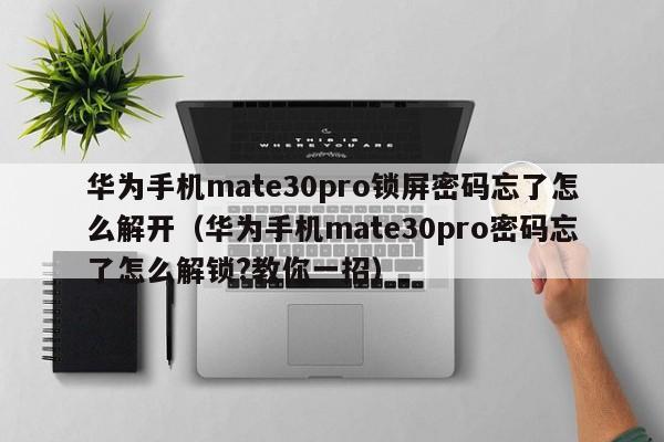 华为手机mate30pro锁屏密码忘了怎么解开（华为手机mate30pro密码忘了怎么解锁?教你一招）-第1张图片-晋江速捷自动化科技有限公司