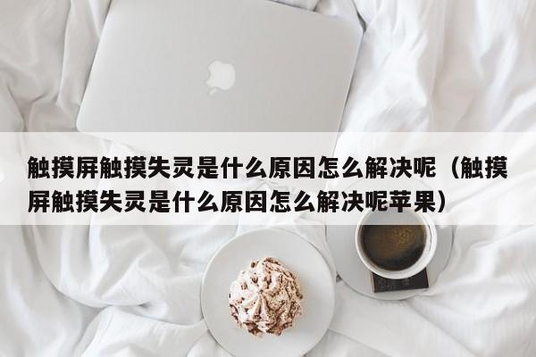 触摸屏触摸失灵是什么原因怎么解决呢（触摸屏触摸失灵是什么原因怎么解决呢苹果）-第1张图片-晋江速捷自动化科技有限公司